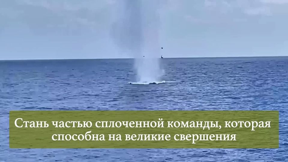 Министерство обороны Российской Федерации приглашает жителей Брянской области на контрактную службу в рядах Вооруженных Сил России