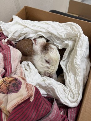 � ������� ����������� �������� ������� ������� � ���� � �����