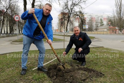 ������������� �����-������ �������� ������ � �����������