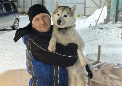 � ������ ������� ������ ����� ��� 553 ������