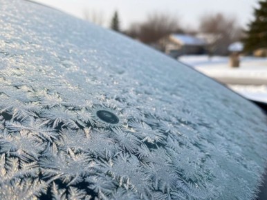 �������� �������������: ��������������� ����������� �������� ���������