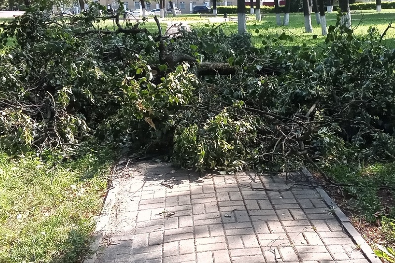 Климовскому району выделены деньги на ликвидацию последствий урагана