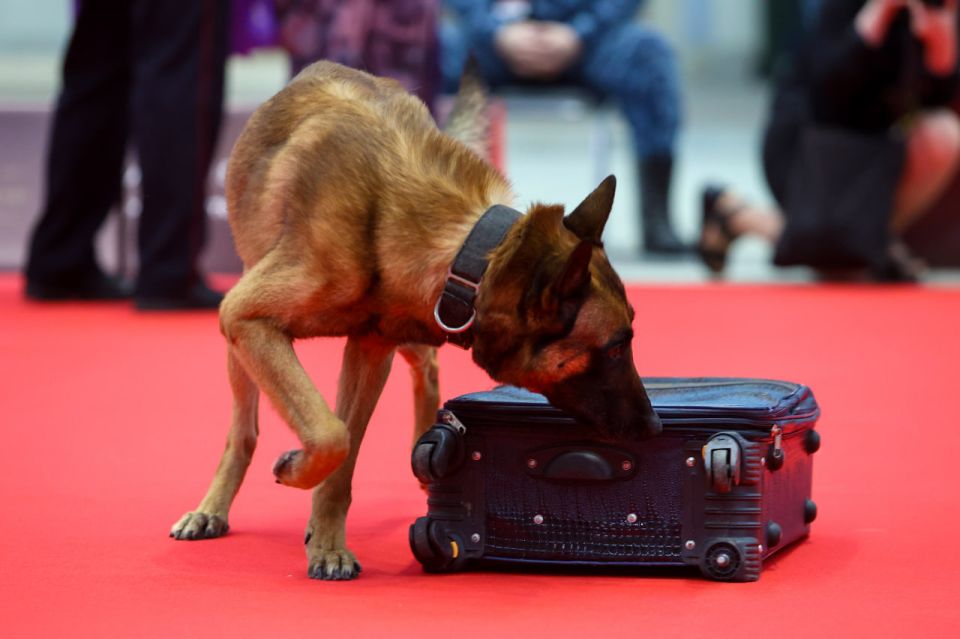 �����������-�������� ��� ������ ���������� �� ��������� ��������� ������� ������ ������-2025�