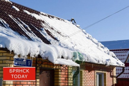 ����������� �� ������ �� ������ �������� ��������� ������ ���