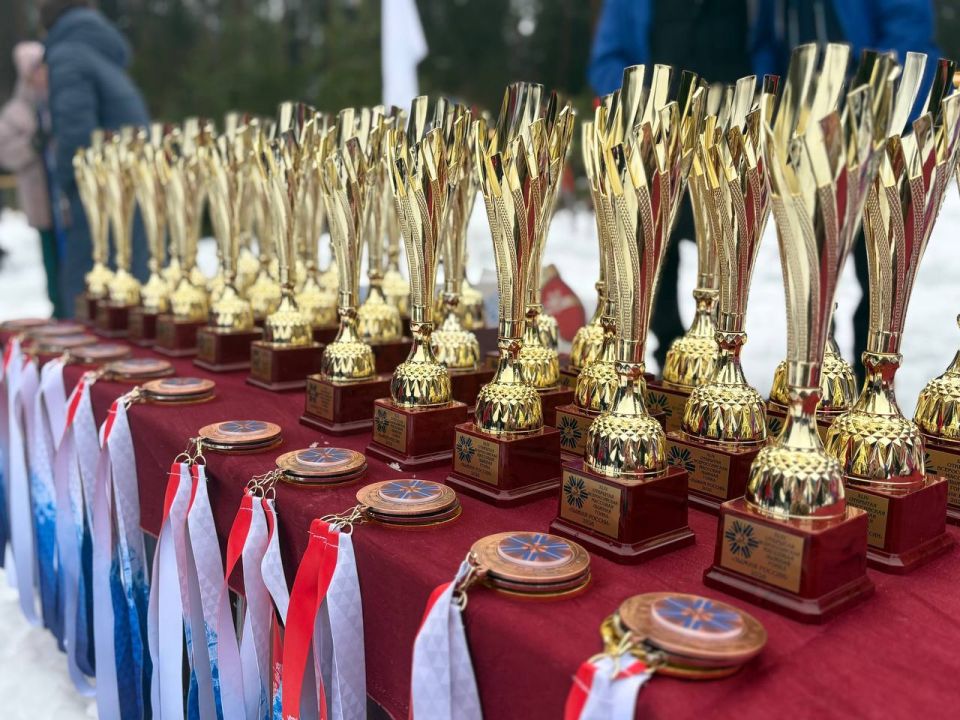 ����� ������: ������� �� ���������� ������ ������ ���������� �������� �������� ������ ����� ������ ������-2026�