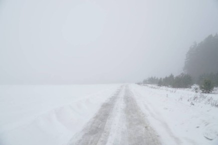 На Брянскую область обрушился плотный туман