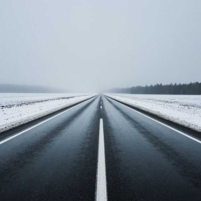 �� ������ ��������� ��������������, 15 ������� �� ���������� �������� ������� �������