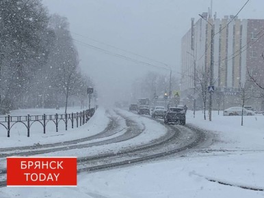 В брянском парке Толстого под тяжестью снега рухнула крыша частного кафе