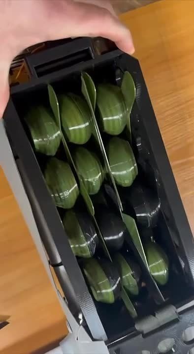 ������������ ����������� ����� �������-2�, ������������� ��� ������ ��������������� ��� � �����