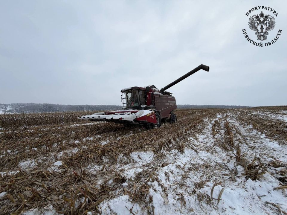 17-������ ��������� ������� ������� ������ �� ������ � ����������� ������