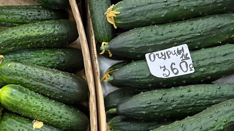 По 600 или по 300: сколько на самом деле стоят огурцы в Брянске