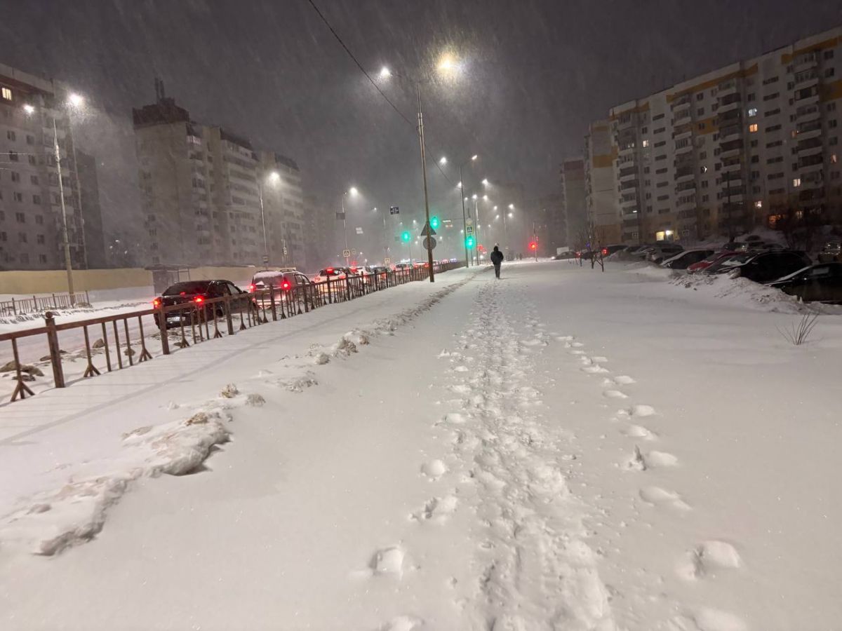 Брянск в снежном плену: такого снегопада этой зимой еще не было