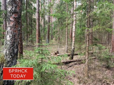 �������� ��������� ������� � ���� �� ���������� ������ ����