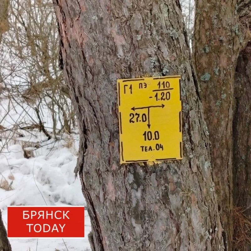 Брянский суд обязал бизнесмена зарегистрировать газопровод из-за риска взрыва