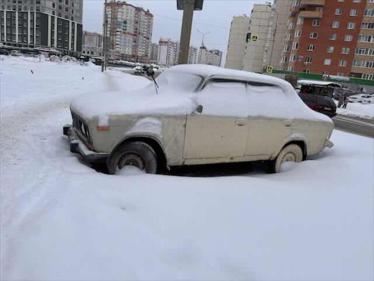 Брянск исчезнет под тоннами снега 19 февраля