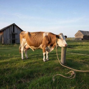 � �������� ������� ���������� ����� � ��������� ������