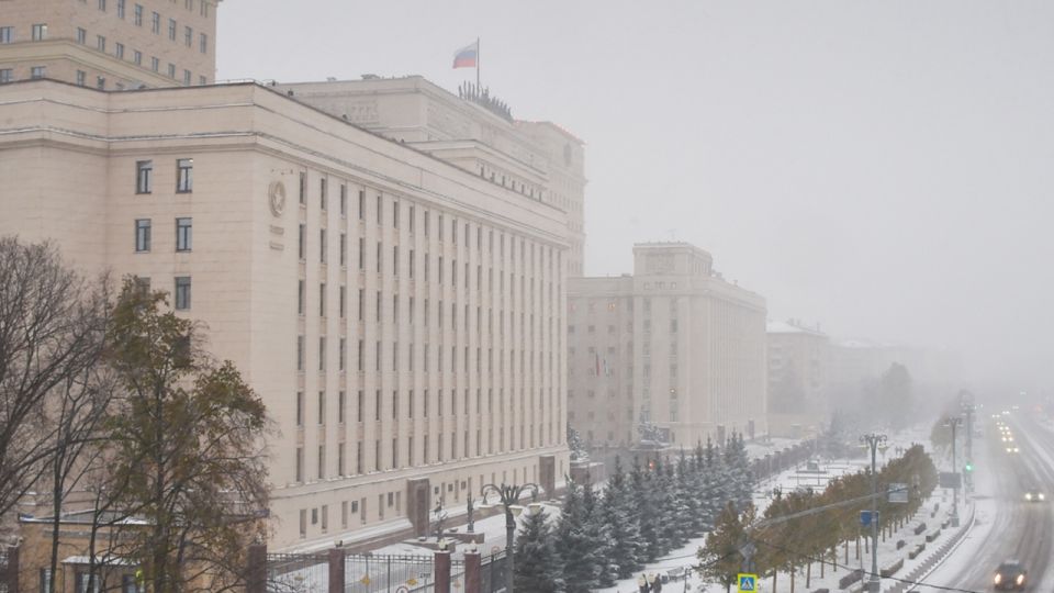 �� ���� ���� ��� ����� 113 ��������� ������ ��� ��������� ������