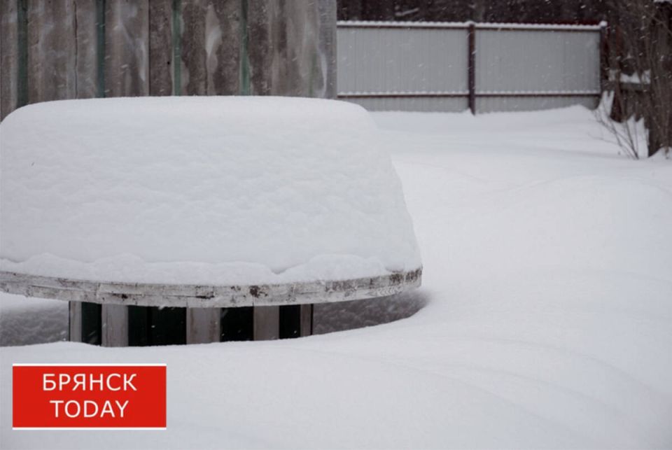 ������ ������ ������� �������� 15 ������������ ����� �� ������