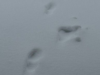 ������ ������ �� �������� ������� �������� ������� 15 ������������ �����