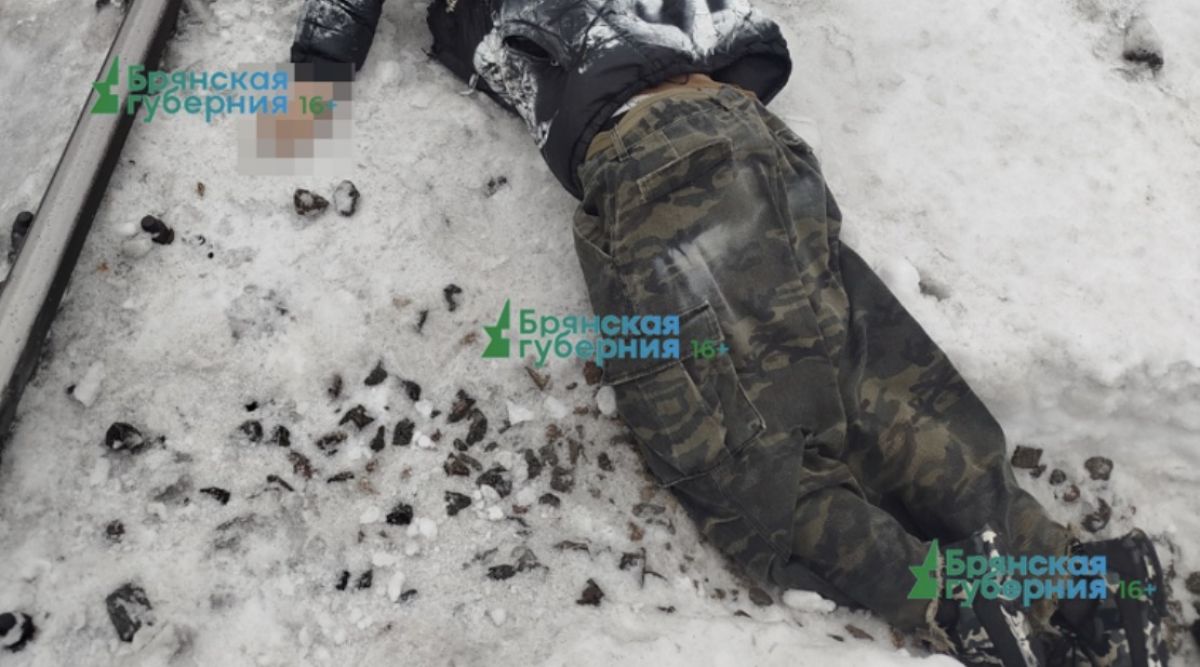 Под Брянском 18-летнему парню поездом отрезало голову