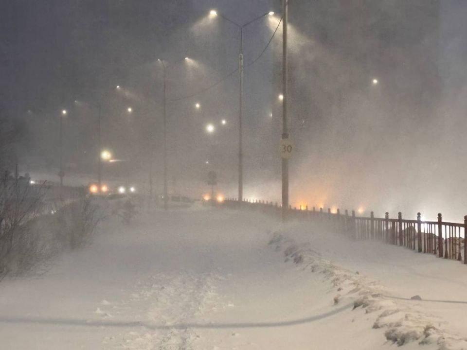 -12 � ��������� ���� ������� ������� 20 �������