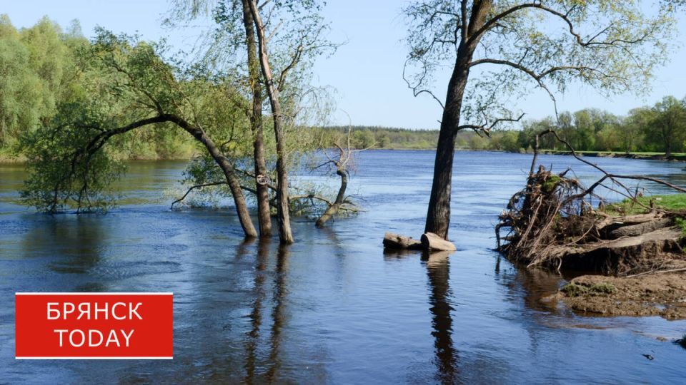 ������� ������������ � ������� ��������� ������