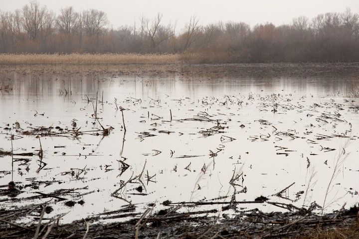 � �������� ������� ������� ���������� ��������� ��� � �����