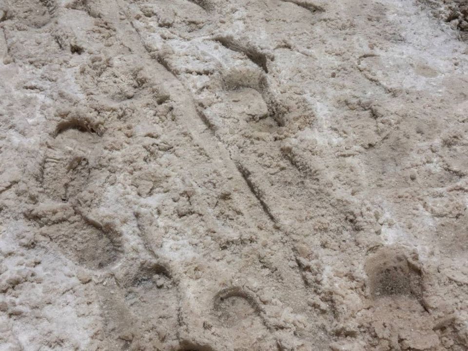 �������� �������� ����������� ������� �������� ������� � ����� �������� �������