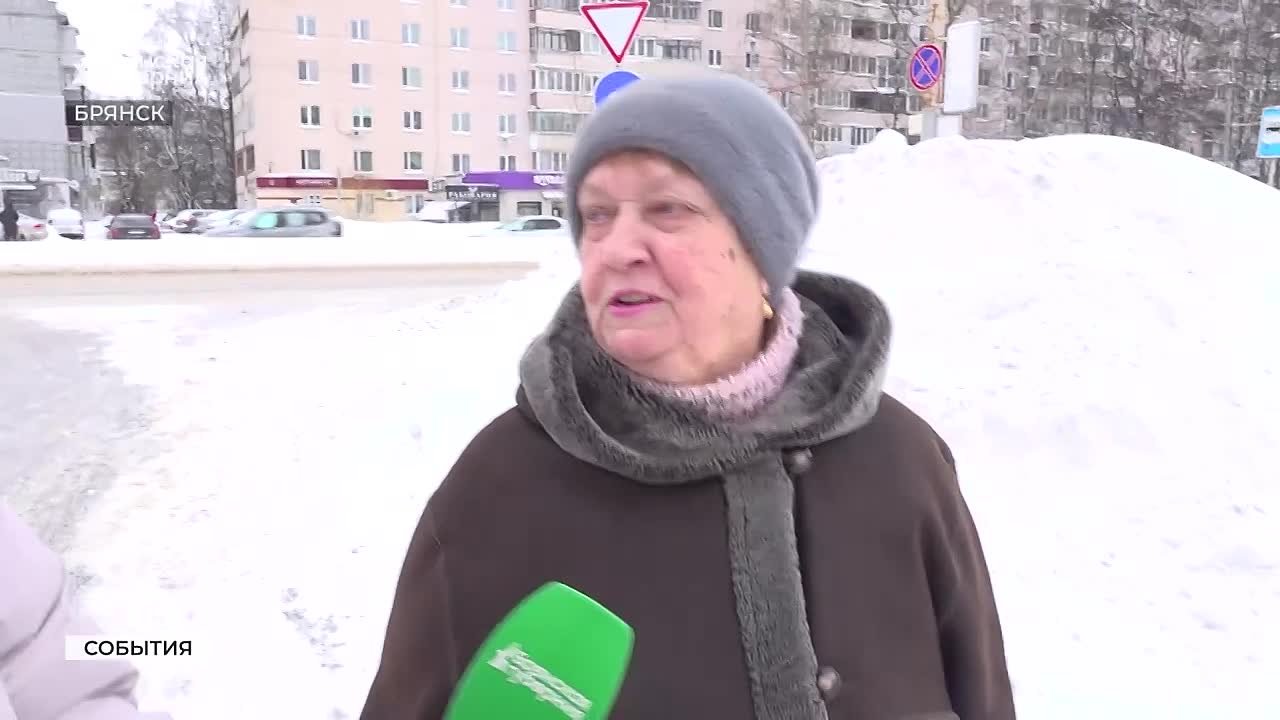 Уже масленица, а зима не сдается: Брянск в снегу