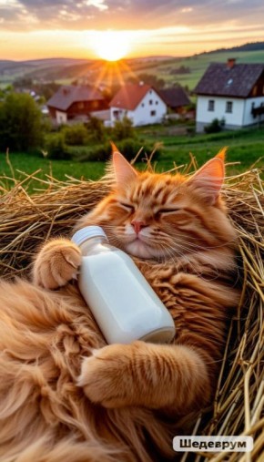 Брянские аграрии произвели более 310 тысяч тонн молока