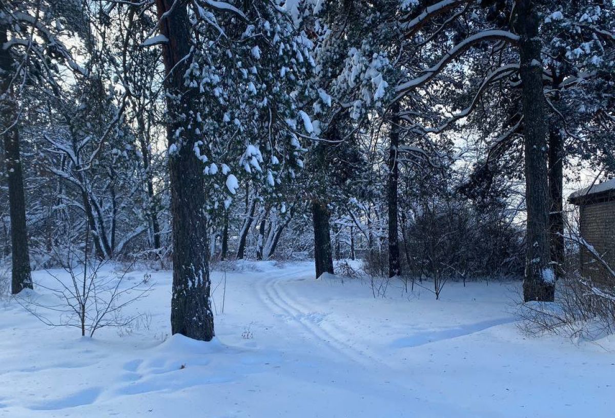 Гидрометцентр предупредил брянцев о резком похолодании к выходным