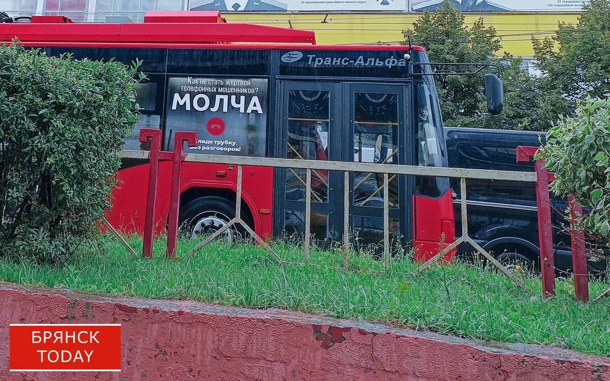 Назвали самую распространенную схему мошенничества в Брянской области