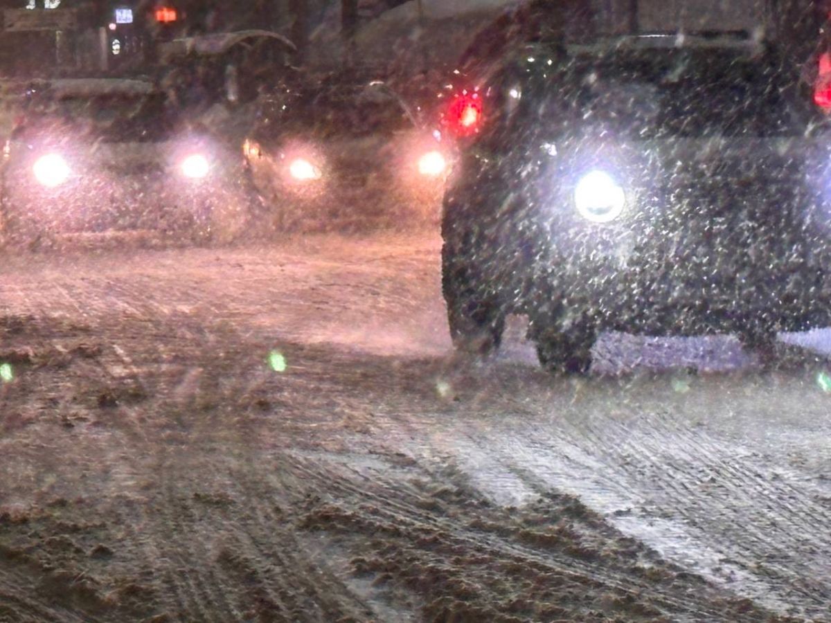 Снег и туман накроют Брянск 25 февраля