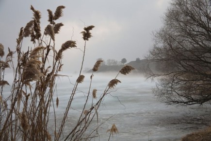 ������� ������� ������������ ���� �� ������ ��� �����