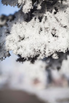 ������ ����, ������ � ����� ��������������� ���������� ������!