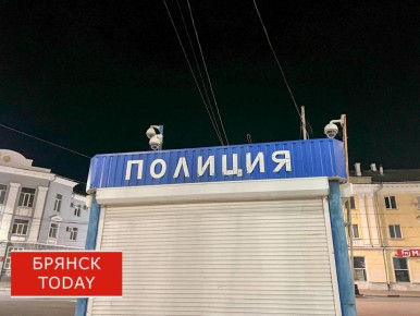 Ремонтник украл из сейфа хозяина 1,6 млн рублей в Бежице