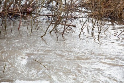 ������ � ��������� ���� � ��������� �������� �� �������� �������