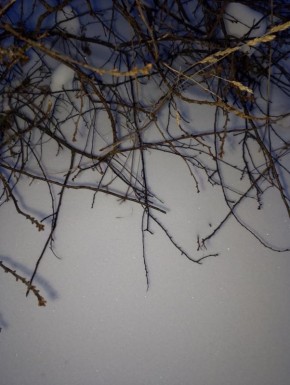 ������ ������� ��������� ������ �� ��������� �������