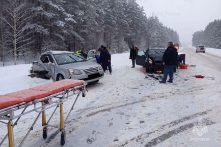 При столкновении легковушек под Навлей пострадали два человека