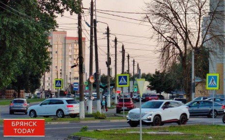 Сотрудники ГИБДД подвели итоги операции «Встречная полоса» в Брянске