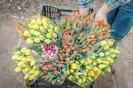 � ������� �������� ���������� � �������������� �������� ��� ��������� 30000 ���������