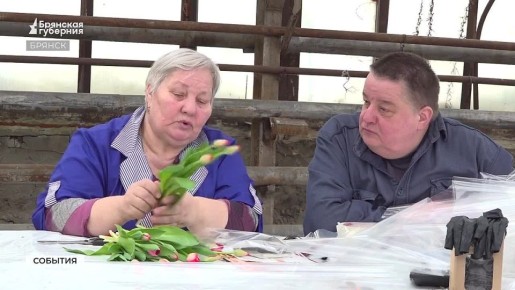 Секрет свежести: как брянские тюльпаны заставили цвести к 8 Марта