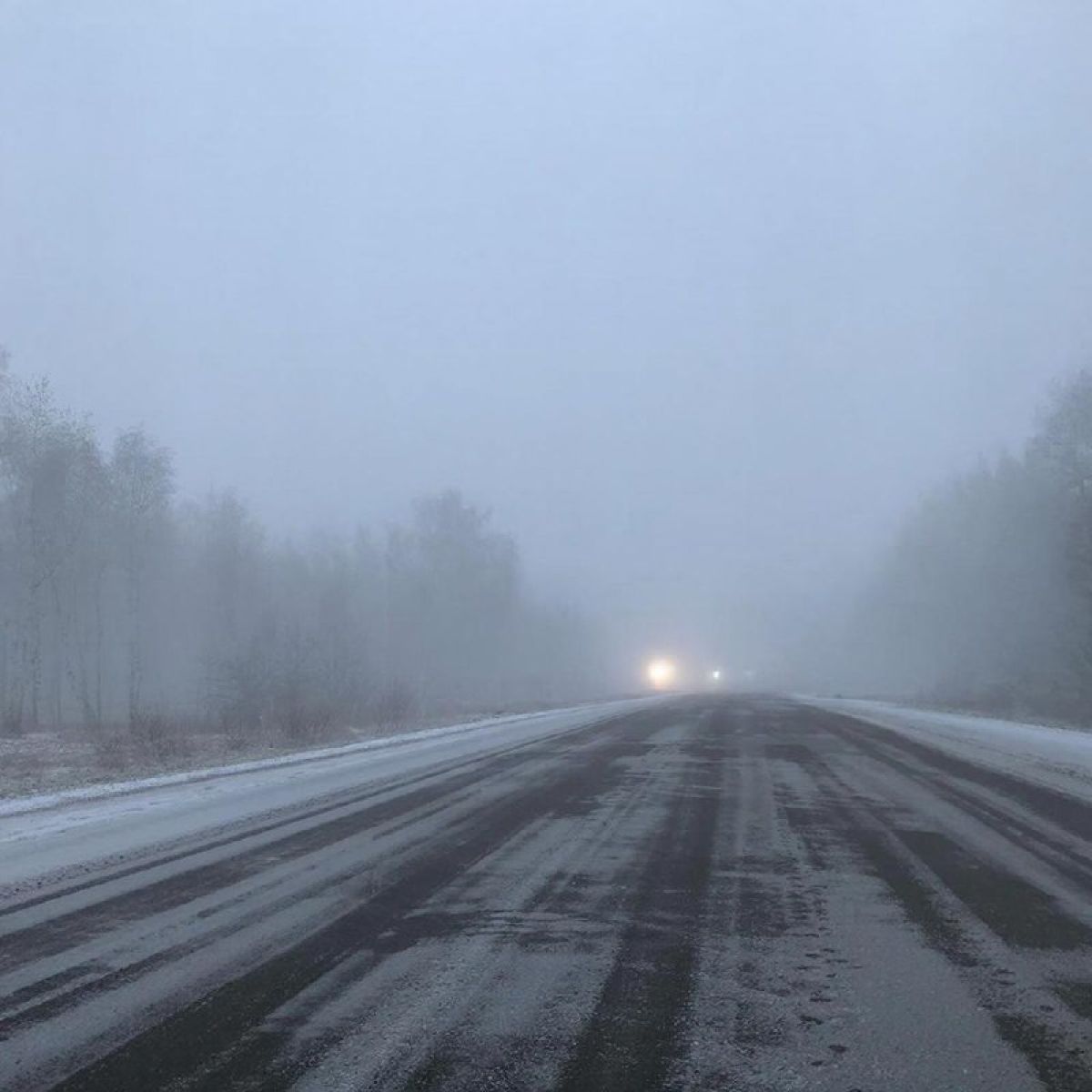 Брянские синоптики предупредили брянцев о непроглядном тумане и гололеде 27 февраля