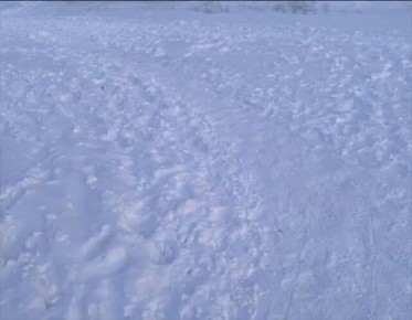 �������� ������� ����� �� ������ ��������