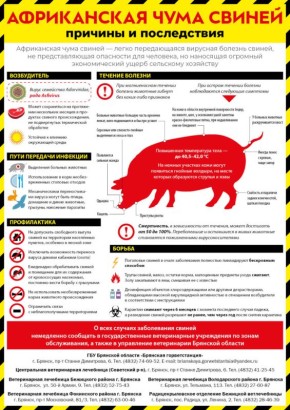 ������� ������������ �� ������ ������ ����������� ���� ������