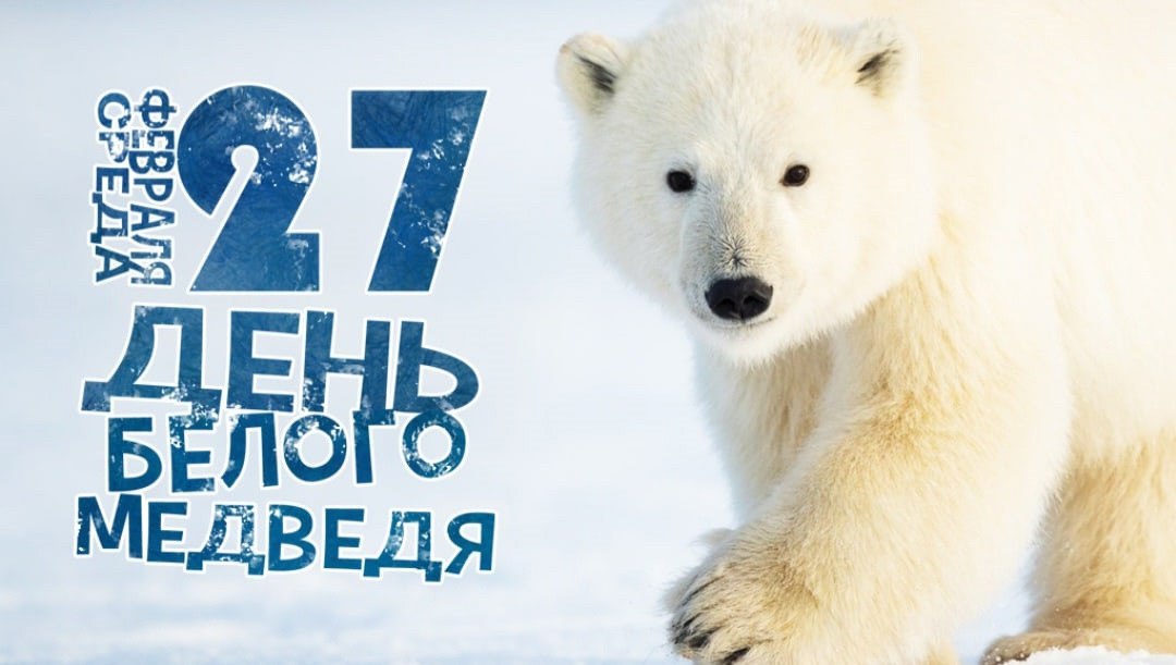 Дорогие друзья!. Сегодня мы отмечаем Международный день полярного медведя! Этот день посвящён не только этому величественному животному, но и всем тем вопросам, которые касаются охраны окружающей среды и сохранения наших...