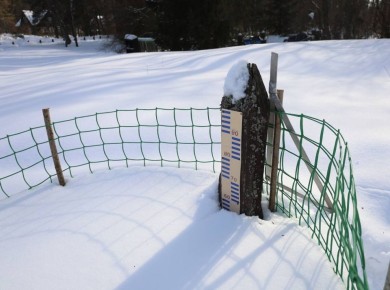 Брянцев пугают нашествием комаров из-за аномально снежной зимы