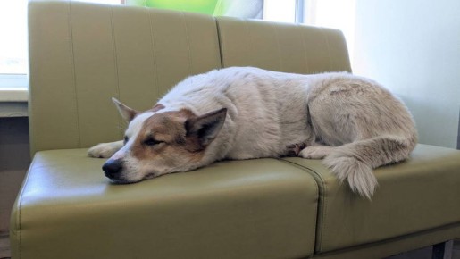 ������� ���� � �������� �����: ����� ��� �� �����-�����