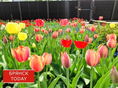 ������� ������������ � ������ � ��������� �� ����������