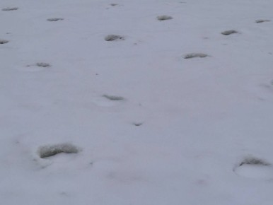 �������� ��� ���������� � ������� ���������� �������� ����� ����� ������������